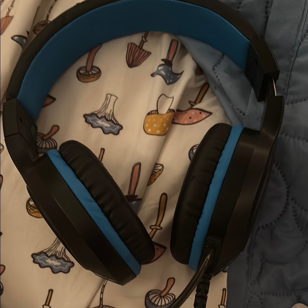 Black and Blue Headphones
